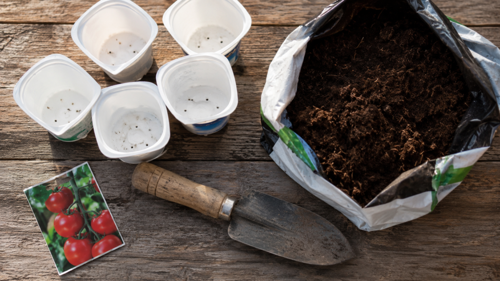 Budget seed-starting supplies including yoghurt pots, peat-free compost, and seed packets